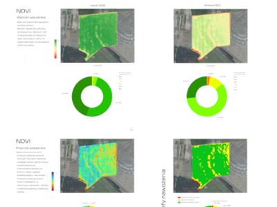 przezimowanie, ndvi map, wheathering, VRA, application, map, gis, farming