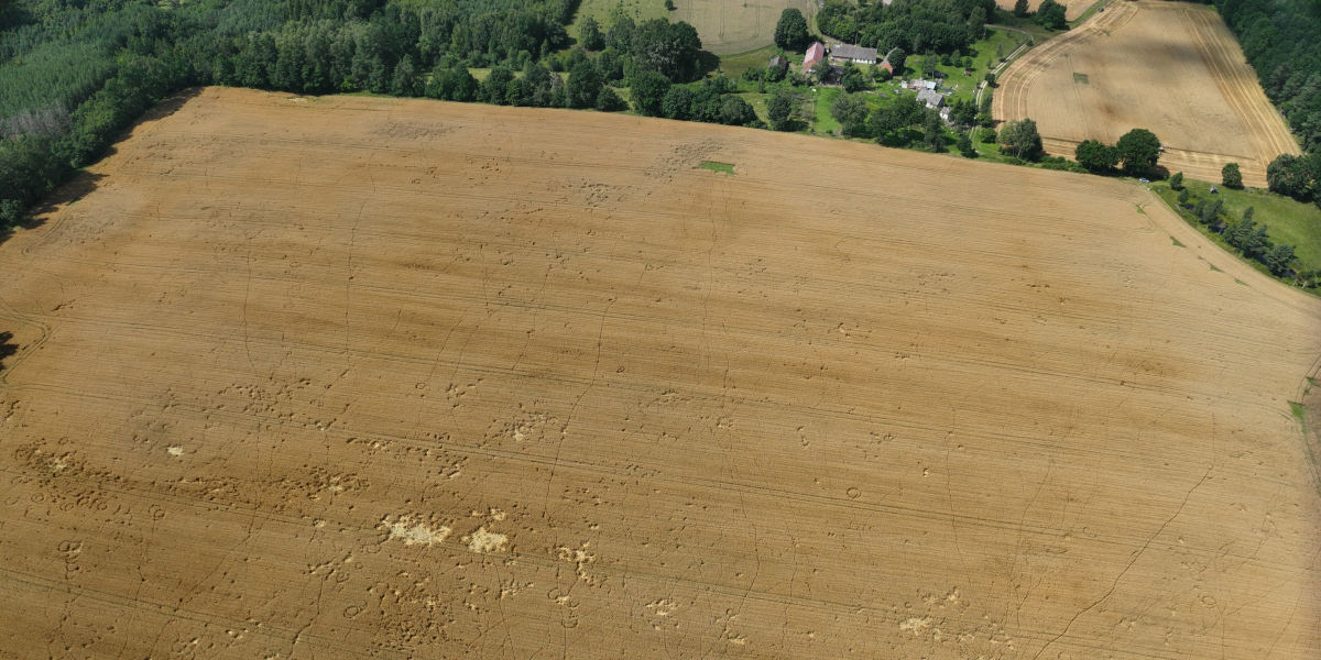 crop_damage_1.jpg
